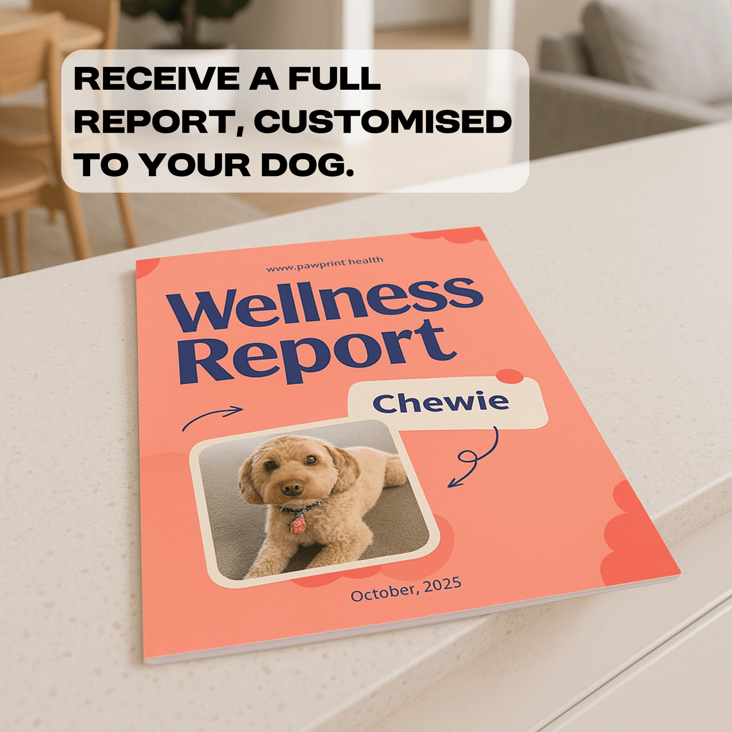 DNA & Genetic Health Risk Screening - Paw Print Health