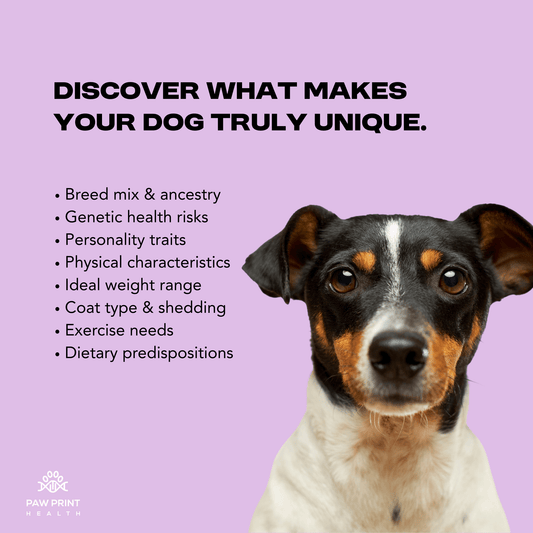 DNA & Genetic Health Risk Screening - Paw Print Health