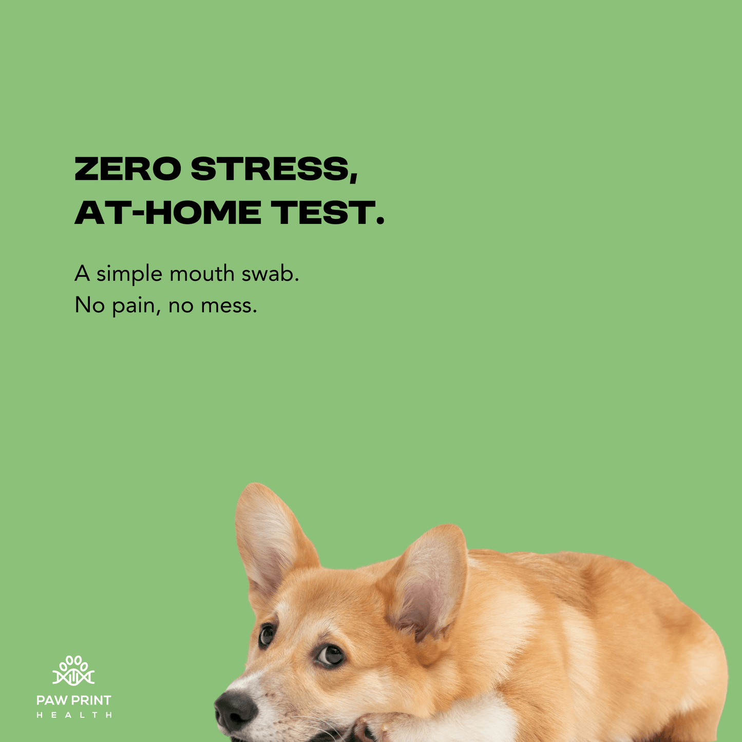 DNA & Genetic Health Risk Screening - Paw Print Health