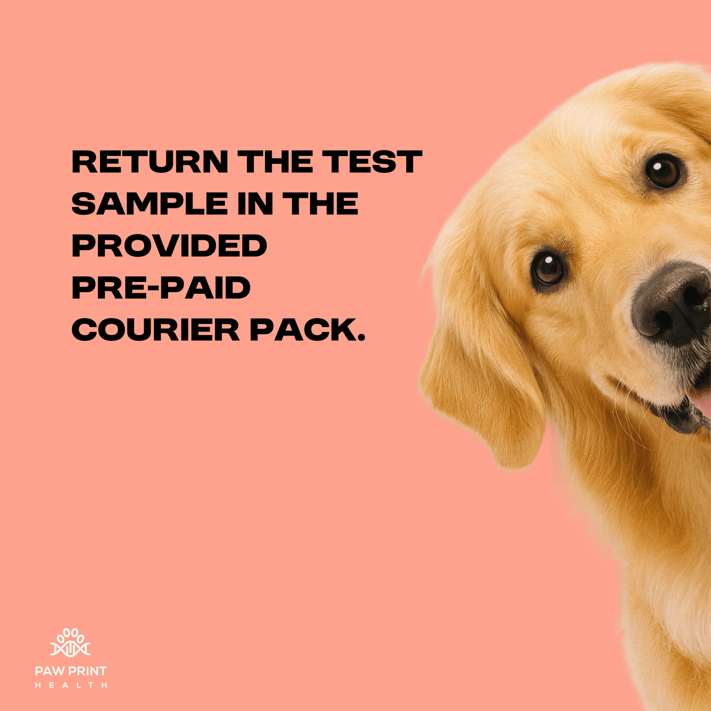 DNA & Genetic Health Risk Screening - Paw Print Health
