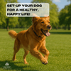 DNA & Genetic Health Risk Screening - Paw Print Health