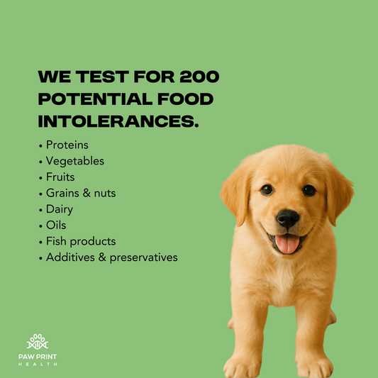 Complete Food Screening - Paw Print Health