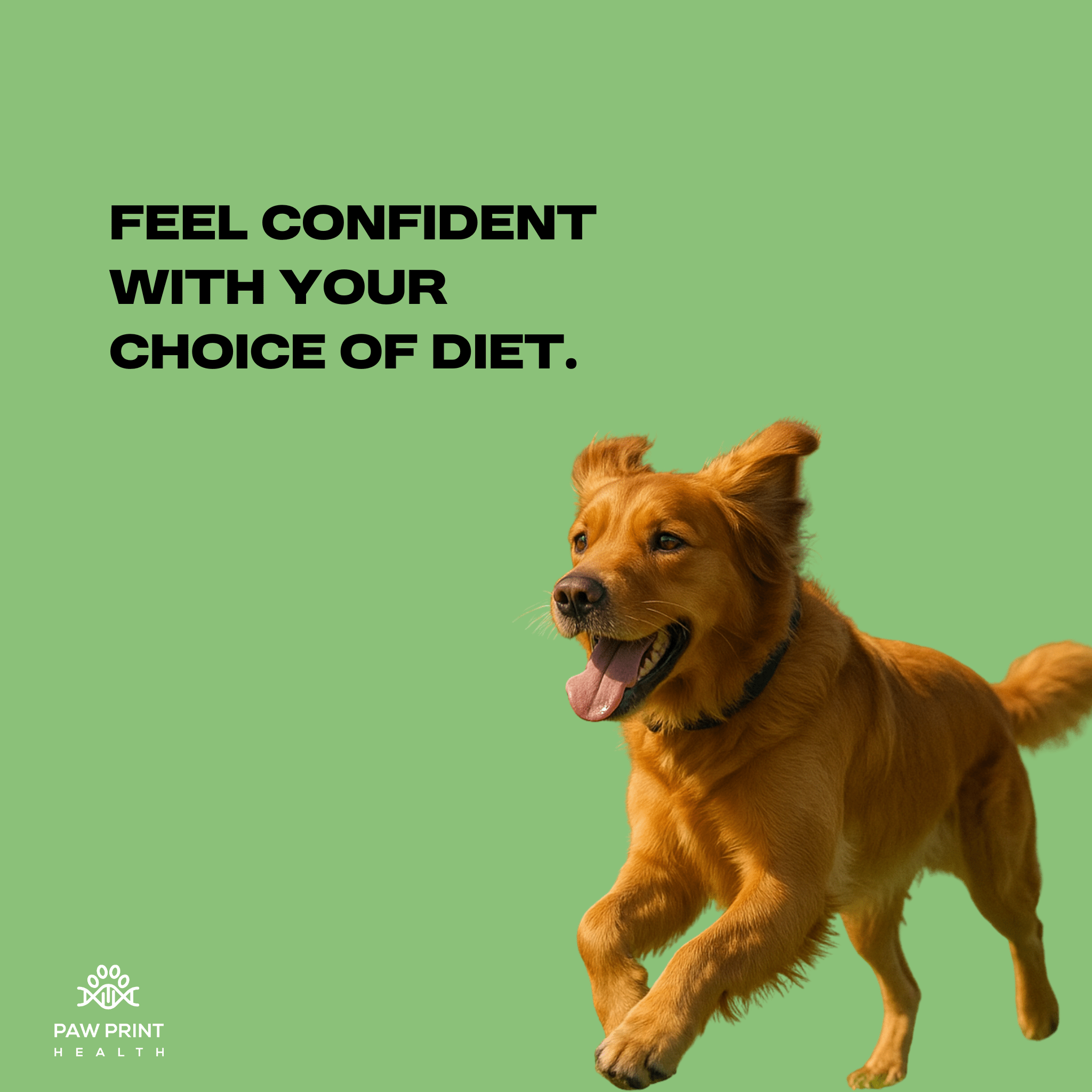 Complete Food Screening - Paw Print Health