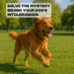 Complete Intolerance Screening - Paw Print Health