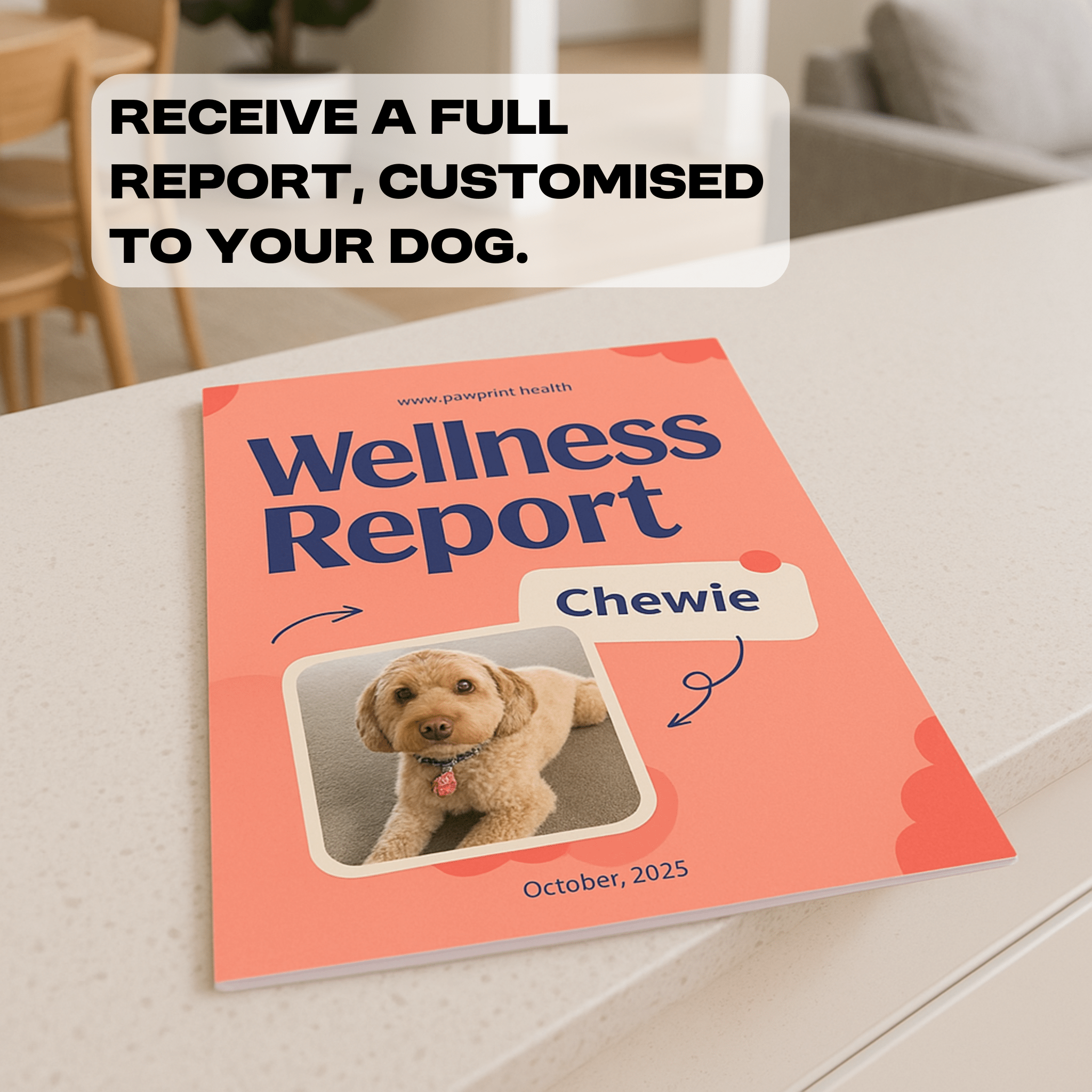 DNA & Genetic Health Risk Screening - Paw Print Health