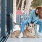 Comprehensive Wellness Programme for Your Dog - Paw Print Health