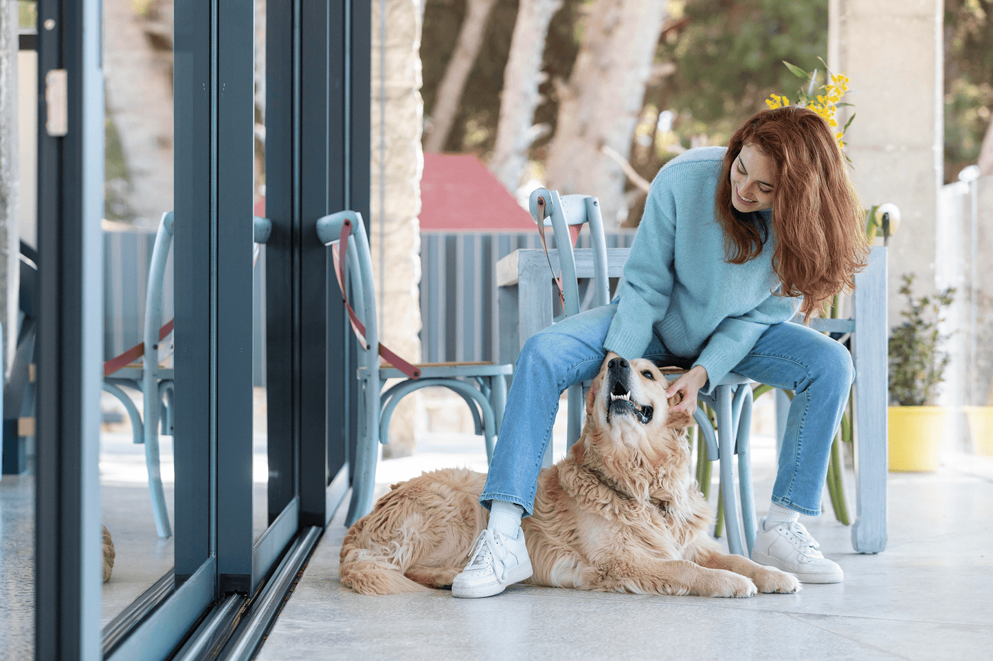 Comprehensive Wellness Programme for Your Dog - Paw Print Health