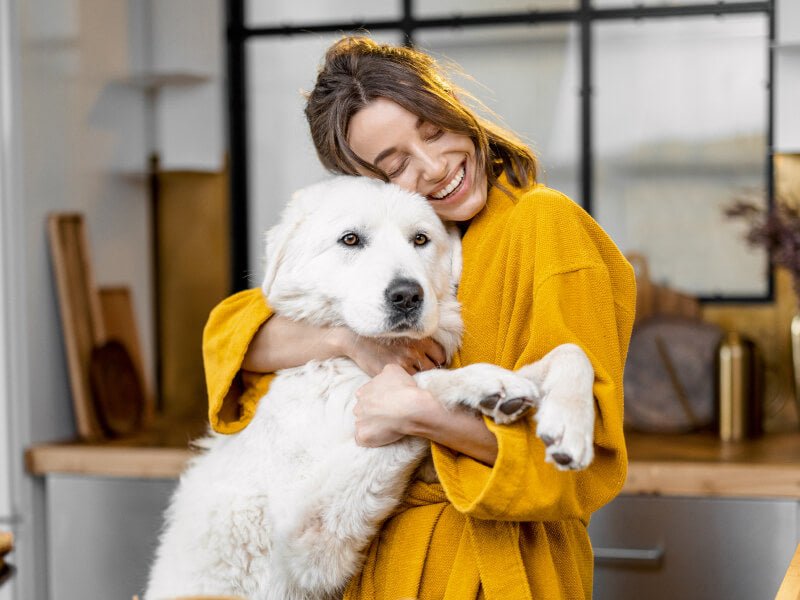Comprehensive Wellness Programme for Your Dog - Paw Print Health