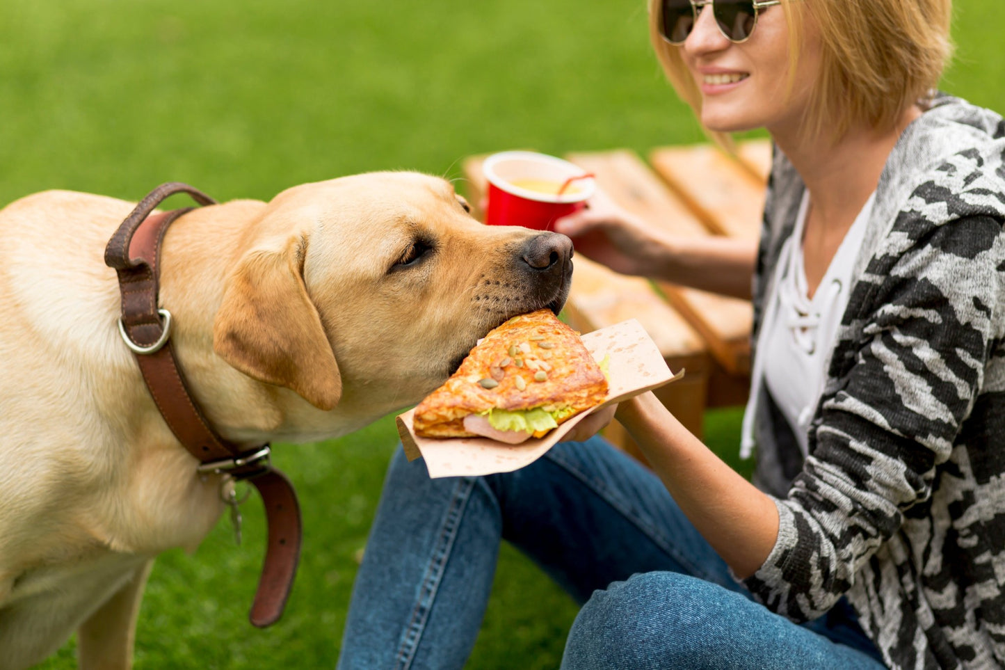 Intolerance Analysis for your Dog - Paw Print Health