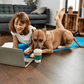 Intolerance Analysis for your Dog - Paw Print Health